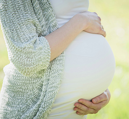 Maternidad Subrogada